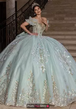 Rachel Allan Quince Dress RQ2240