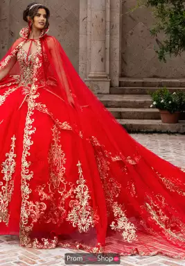 Rachel Allan Quince Dress RQ6015