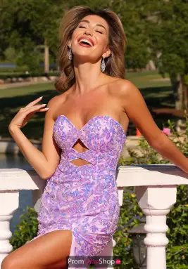 Primavera Dress 4504