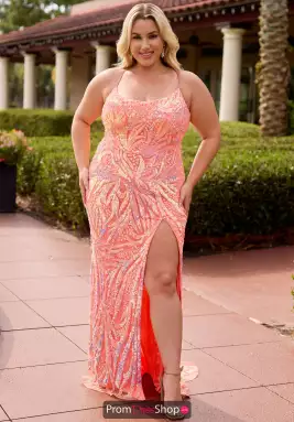 Primavera Dress 14108