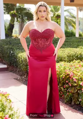 Primavera Dress 14109