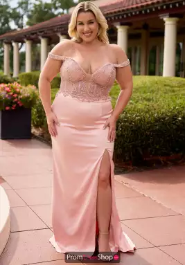 Primavera Dress 14107