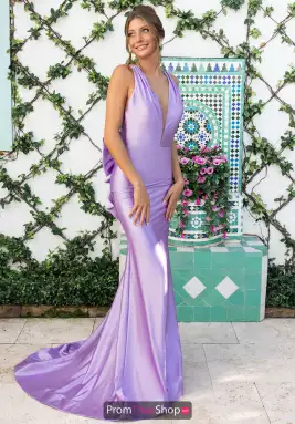 Portia and Scarlett Dress XO095