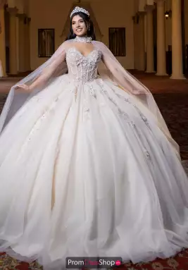 Vizcaya Dress 4080023