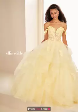 Ellie Wilde Dress EW35084