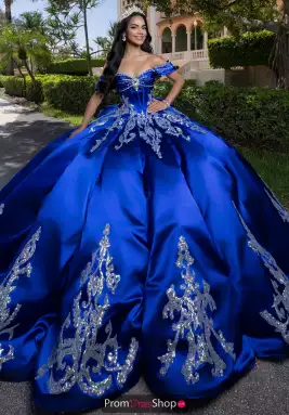 Vizcaya Dress 4080009