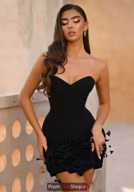 Portia and Scarlett Dress PS25669E