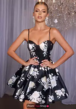 Portia and Scarlett Dress PS25764