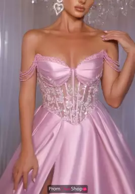 Portia and Scarlett Dress PS26040