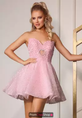 Portia and Scarlett Dress PS25747