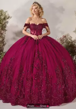 LizLuo Quinceanera Dress 26120