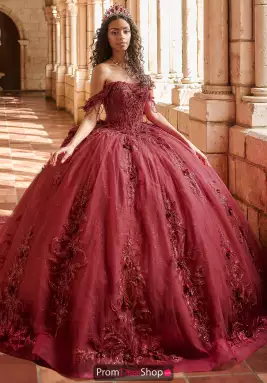 LizLuo Quinceanera Dress 80051