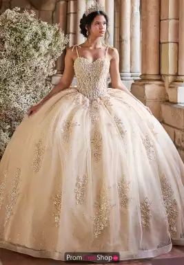 LizLuo Quinceanera Dress 56546