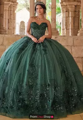 LizLuo Quinceanera Dress 56544