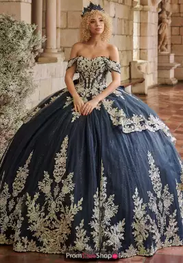 LizLuo Quinceanera Dress 26126