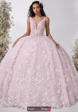 LizLuo Quinceanera Dress 80060