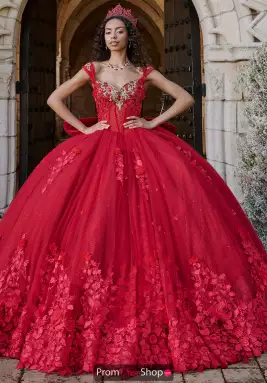 LizLuo Quinceanera Dress 80057