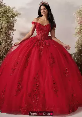 LizLuo Quinceanera Dress 56548