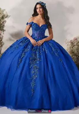 LizLuo Quinceanera Dress 56542