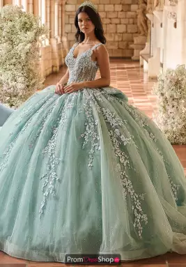 LizLuo Quinceanera Dress 56541