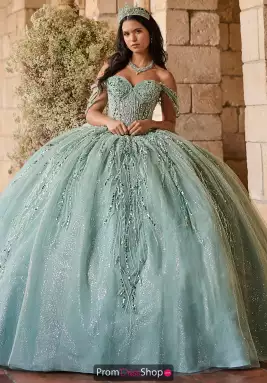 LizLuo Quinceanera Dress 56550