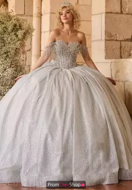 LizLuo Quinceanera Dress 26124