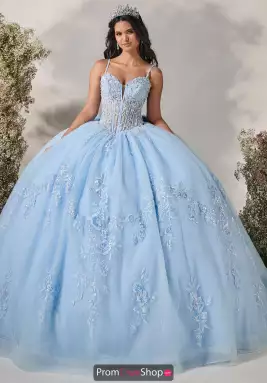 LizLuo Quinceanera Dress 56547