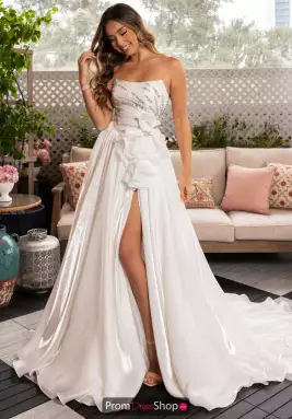 Rachel Allan Pageant Dress 50368