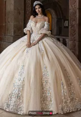 Rachel Allan Quince Dress RQ1165