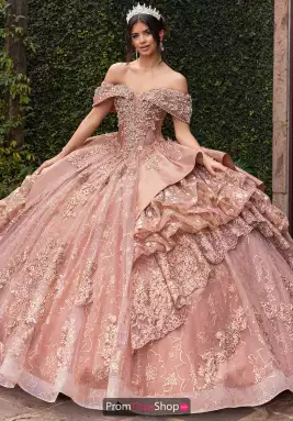 Rachel Allan Quince Dress RQ6001