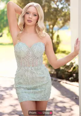 Primavera Dress 4429