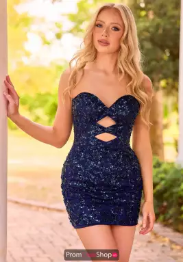 Primavera Dress 4457