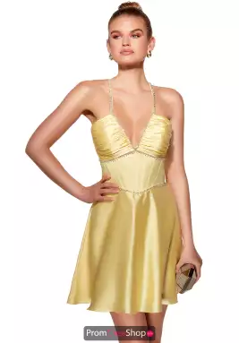 Alyce Dress 40063
