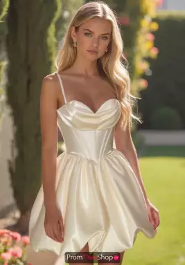 Alyce Dress 30012