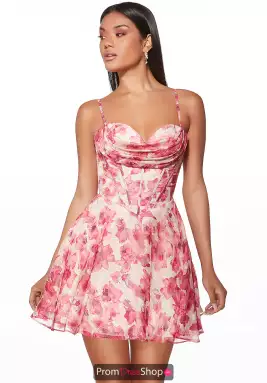 Alyce Dress 30033