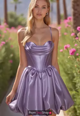 Alyce Dress 30012