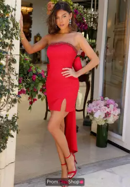 Ava Presley Dress 29115