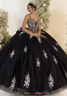 LizLuo Quinceanera Dress 56559