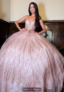 Vizcaya Dress PH1001SP