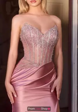 Ladivine by Cinderella Dress CDS538