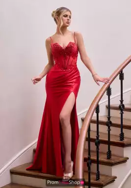 Ladivine by Cinderella Dress CDS559