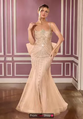 La Divine by Cinderella Dress CB167