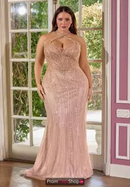 Ladivine by Cinderella Dress CC416C