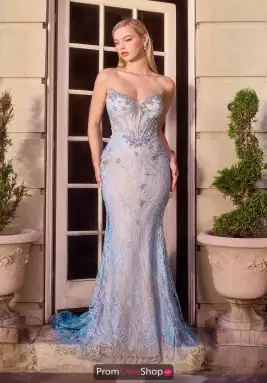 Ladivine by Cinderella Dress CD713