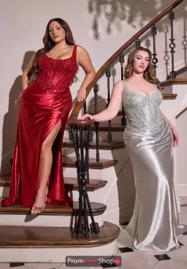 La Divine by Cinderella Dress CC475C