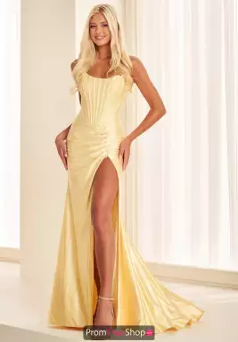 Ellie Wilde Dress EW37063