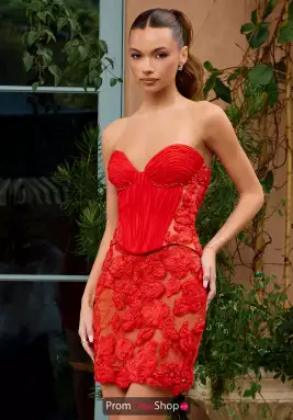 Portia and Scarlett Dress PS26740