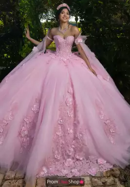 Quinceanera Collections Dress 56572