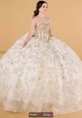 Quinceanera Collections Dress 56569