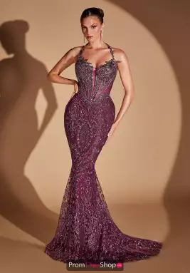 La Divine by Cinderella Dress CD695